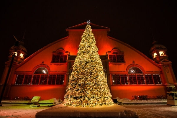Giant Christmas Tree at Ottawa Christmas Market - TD Place