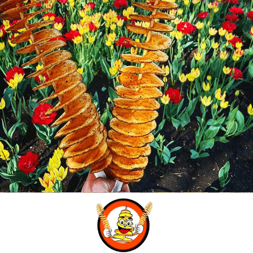 spring chips