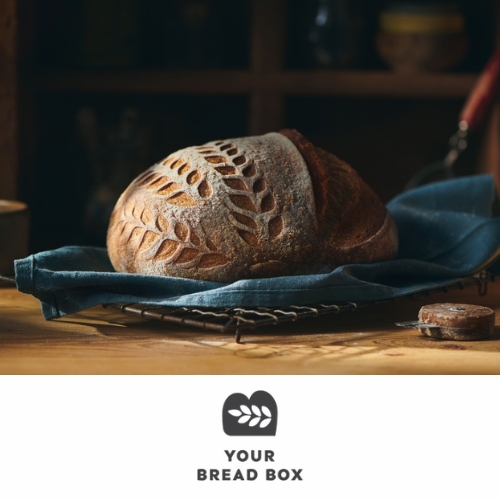 Your Bread Box